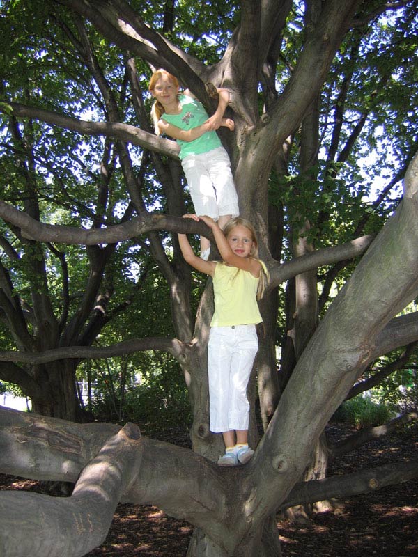 Bei uns wachsen die Kinder noch auf den Bäumen!